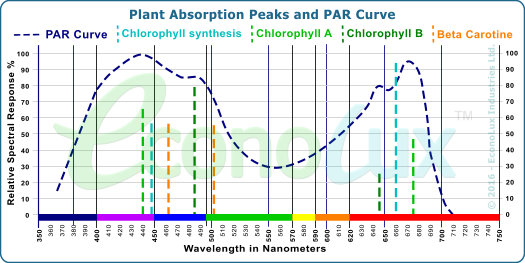 Plant Absotption Peaks and PAR Curve
